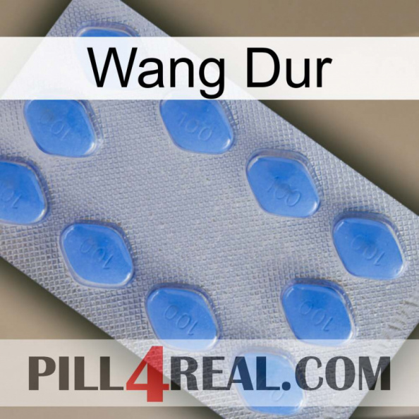 Hard Wang 21